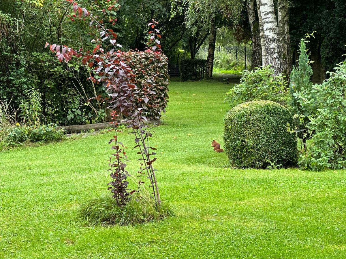 Hotel Steineweiher St. Vith Екстериор снимка