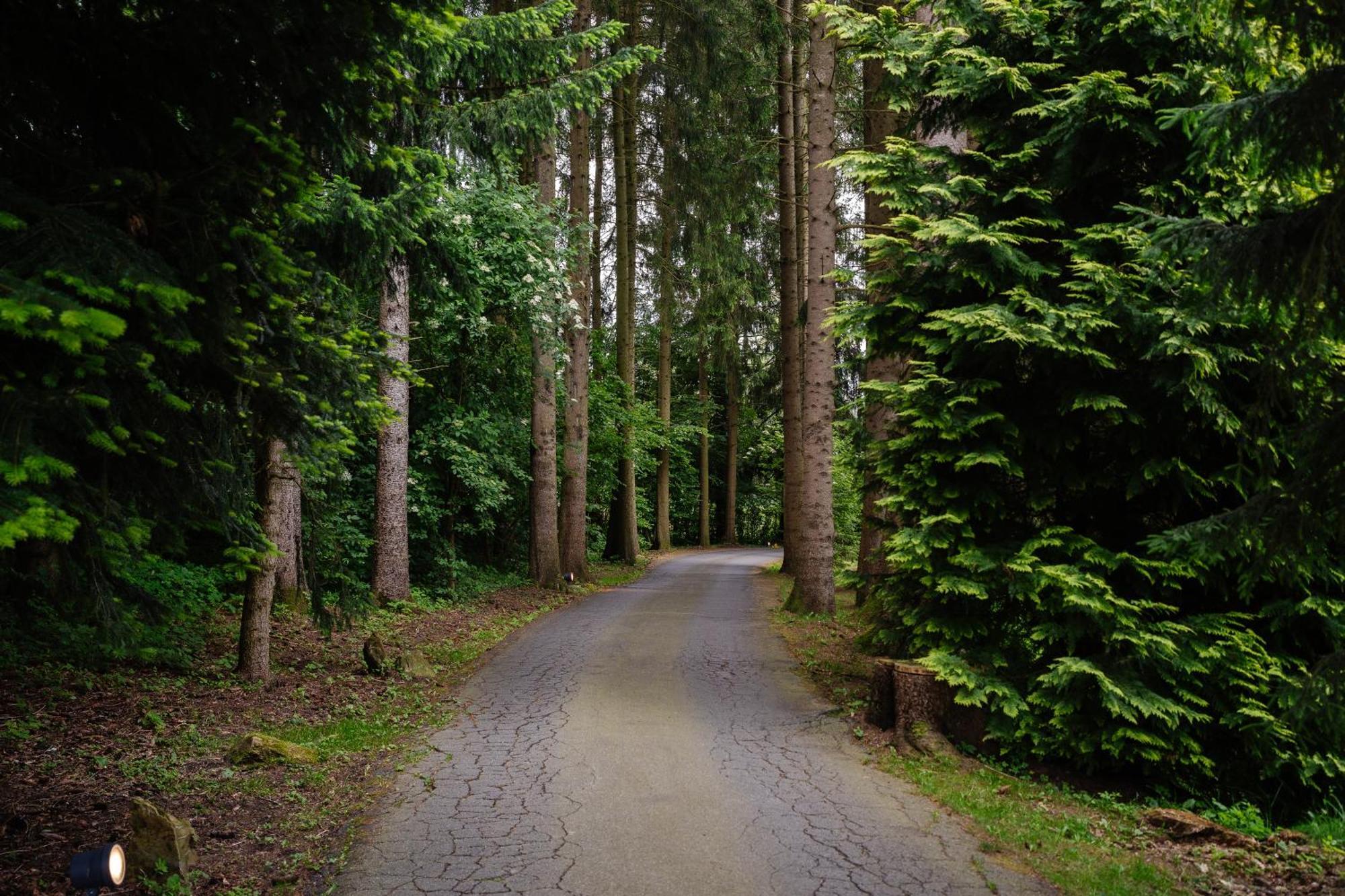 Hotel Steineweiher St. Vith Екстериор снимка